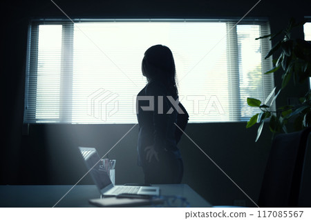 Silhouette of a businesswoman using a laptop Silhouette of a businesswoman using a laptop 117085567