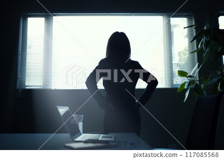 Silhouette of a businesswoman using a laptop Silhouette of a businesswoman using a laptop 117085568