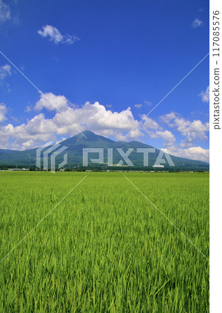 盛夏的稻田和磐梯山（福島縣豬苗代町） 117085576