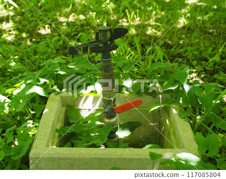 Vineyard irrigation sprinkler 1 117085804