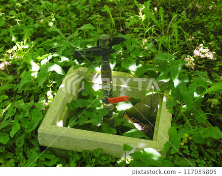 Vineyard irrigation sprinkler 2 117085805