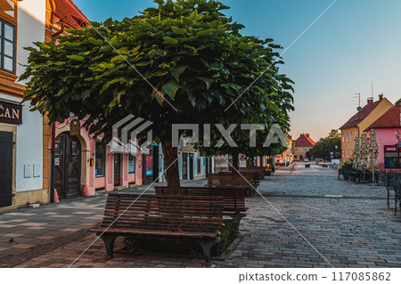 King Tomislav Square, popular tourist place Varazdin Croatia 11.07.24 117085862