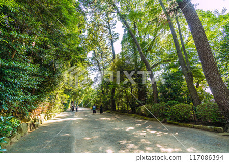 日本寒川城市景觀，俯瞰相模國一宮寒川神社等充滿綠意又神秘... = 2020年7月21日 117086394