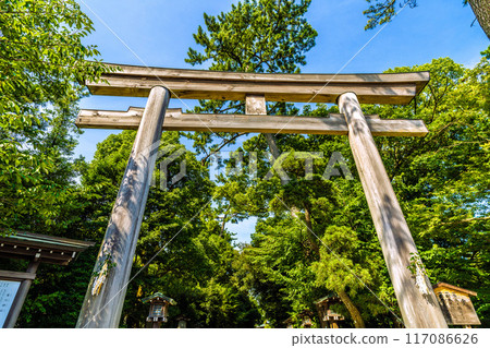 Samukawa cityscape in Japan, overlooking the third torii gate of Samukawa Shrine, Ichinomiya of Sagami Province (July 21, 2024) Samukawa cityscape in Japan, overlooking the third torii gate of Samukawa Shrine, Ichinomiya of Sagami Province (July 21, 2024) 117086626