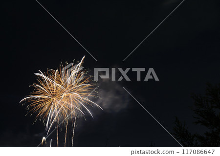 染紅夜空的大花<安倍川花火大會> 染紅夜空的大花<安倍川花火大會> 117086647