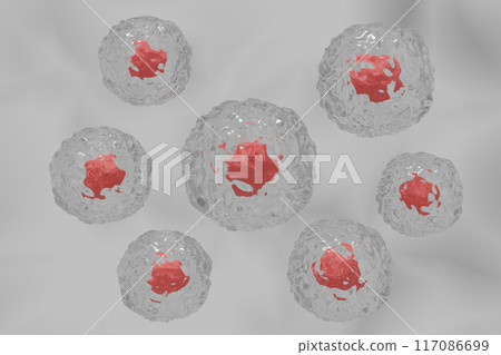 Image of animal cells 117086699