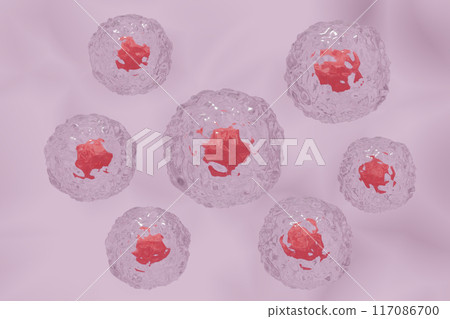 Image of animal cells 117086700