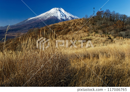 深秋從大平山看到的富士山 深秋從大平山看到的富士山 117086765