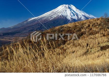 深秋從大平山看到的富士山 117086766
