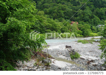 A clear stream flowing through the mountains of Nagano Prefecture, surrounded by fresh greenery 117086773