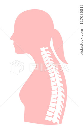 直頸女性上半身骨骼圖 直頸女性上半身骨骼圖 117086812