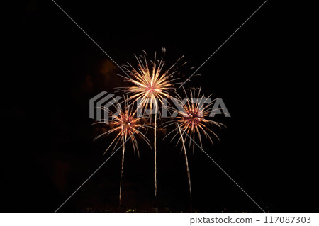 夏日夜空綻放的煙火<桑名水鄉煙火大會> 夏日夜空綻放的煙火<桑名水鄉煙火大會> 117087303