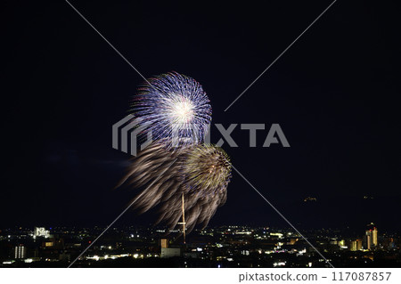 盛開在夏日夜空的華麗煙火<蒲郡農涼煙花大會> 117087857
