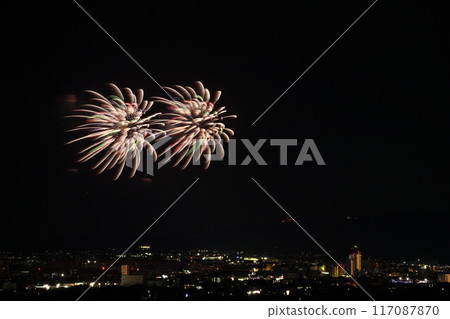盛開在夏日夜空的華麗煙火<蒲郡農涼煙花大會> 117087870