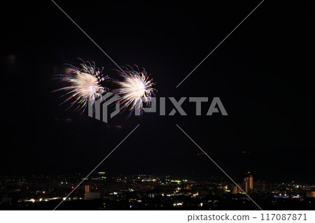 盛開在夏日夜空的華麗煙火<蒲郡農涼煙花大會> 117087871