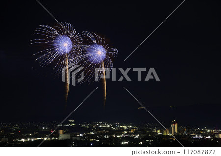 盛開在夏日夜空的華麗煙火<蒲郡農涼煙花大會> 盛開在夏日夜空的華麗煙火<蒲郡農涼煙花大會> 117087872