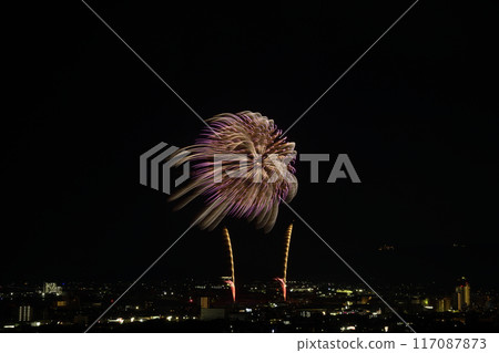 盛開在夏日夜空的華麗煙火<蒲郡農涼煙花大會> 117087873