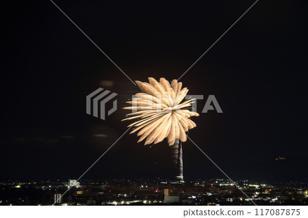 盛開在夏日夜空的華麗煙火<蒲郡農涼煙花大會> 盛開在夏日夜空的華麗煙火<蒲郡農涼煙花大會> 117087875