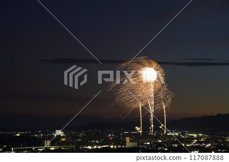 盛開在夏日夜空的華麗煙火<蒲郡農涼煙花大會> 117087888