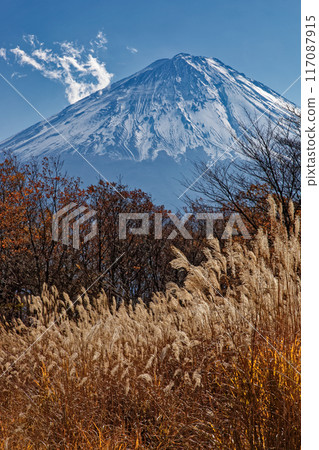 Mt. Fuji seen from Sankodai in late autumn Mt. Fuji seen from Sankodai in late autumn 117087915