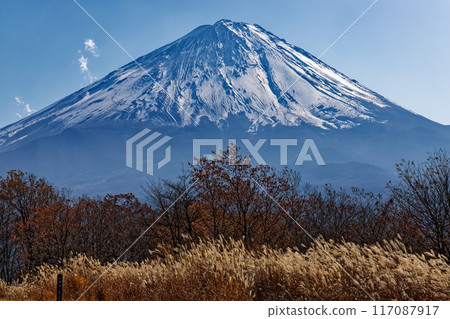 Mt. Fuji seen from Sankodai in late autumn 117087917