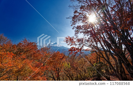 秋葉攤上的楓葉和富士山 117088568
