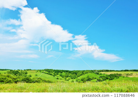Hokkaido summer blue sky and fresh green plateau scenery 117088646