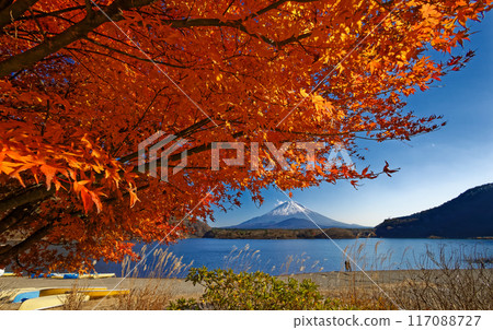 精進湖畔秋葉的富士山 精進湖畔秋葉的富士山 117088727