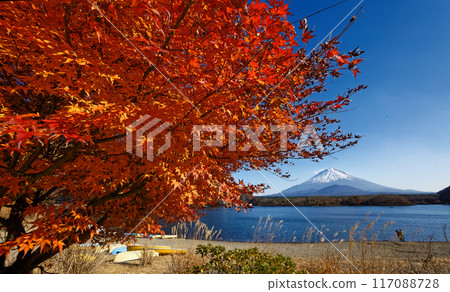 精進湖畔秋葉的富士山 117088728