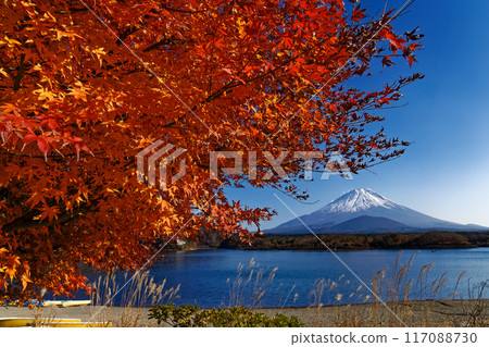精進湖畔秋葉的富士山 117088730