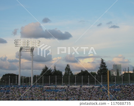 Jingu Stadium outfield seats 117088735