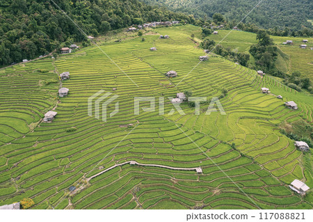 Aerial views of Small house and rice terraces field at pabongpaing village rice terraces Mae-Jam Chiang mai, Thailand. The view point for travel. Rice Field Terrace Aerial views of Small house and rice terraces field at pabongpaing village rice terraces Mae-Jam Chiang mai, Thailand. The view point for travel. Rice Field Terrace 117088821