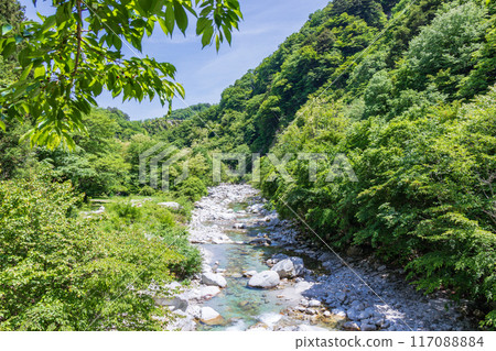 "Yamanashi Prefecture" The Ojiro River Valley where fresh greenery shines, Hokuto City 117088884