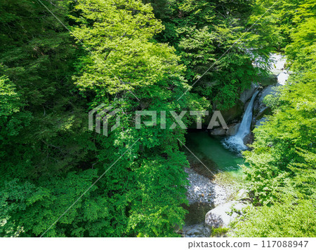 Aerial view of the Ojiro River Valley and Shinja Falls in Yamanashi Prefecture, with fresh greenery. Hokuto City 117088947