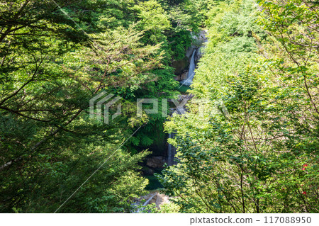 空拍「山梨縣」鮮綠的大白川溪谷和北斗市上子瀑布 117088950