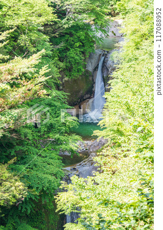 Aerial view of the Ojiro River Valley and Shinja Falls in Yamanashi Prefecture, with fresh greenery. Hokuto City Aerial view of the Ojiro River Valley and Shinja Falls in Yamanashi Prefecture, with fresh greenery. Hokuto City 117088952