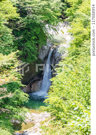 空拍「山梨縣」鮮綠的大白川溪谷和北斗市上子瀑布 117088954