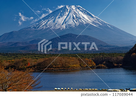 深秋從精進湖看到的富士山 117089044