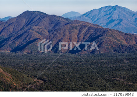 從精進湖和全景平台看到的青木原森林和蘆田山 從精進湖和全景平台看到的青木原森林和蘆田山 117089048