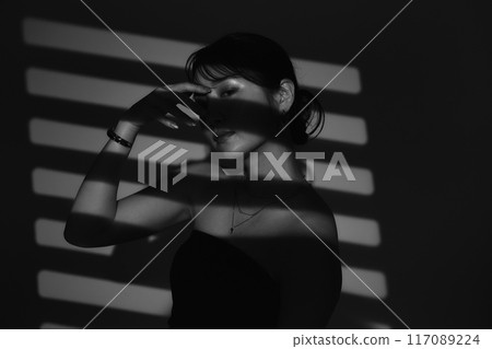 Female portrait in light and shadow Female portrait in light and shadow 117089224