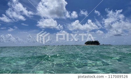 翠綠色的大海、白色的沙灘和藍天 117089526