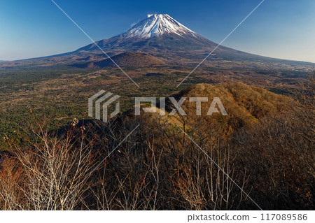 Lake Shojiko in late autumn and Mt. Fuji seen from Panoramadai Lake Shojiko in late autumn and Mt. Fuji seen from Panoramadai 117089586