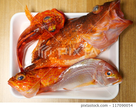 鮮魚套 鮮魚套 117090054