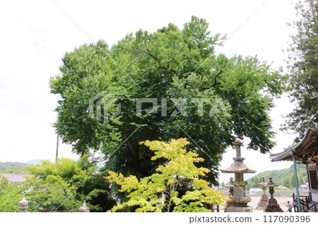 信州別所溫泉的著名寺廟北向觀音 117090396