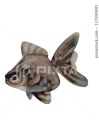 黑色金魚插畫 117090695