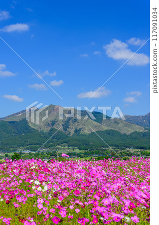 壯觀的景色:以阿蘇山為背景的壯麗宇宙景觀 旅遊勝地:「南阿蘇道之站阿蘇房之裡久木野」。 壯觀的景色:以阿蘇山為背景的壯麗宇宙景觀 旅遊勝地:「南阿蘇道之站阿蘇房之裡久木野」。 117091034