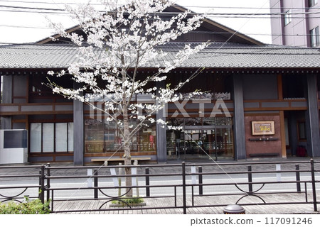 Fuefuki City: Cherry blossoms in full bloom on Sakura Onsen Street in Isawa Onsen and the long-established inn, Kagetsu Fuefuki City: Cherry blossoms in full bloom on Sakura Onsen Street in Isawa Onsen and the long-established inn, Kagetsu 117091246
