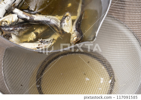 用乾沙丁魚和海帶製作高湯 高湯 用乾沙丁魚和海帶製作高湯 高湯 117091585