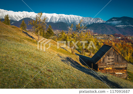 Autumn rural landscape with colorful deciduous trees and snowy mountains 117091687