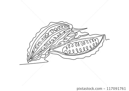 Continuous one line drawing whole and sliced healthy organic bitter gourd for garden logo identity. Fresh Indonesian pare concept for veggie icon. Single line draw design vector graphic illustration Continuous one line drawing whole and sliced healthy organic bitter gourd for garden logo identity. Fresh Indonesian pare concept for veggie icon. Single line draw design vector graphic illustration 117091761